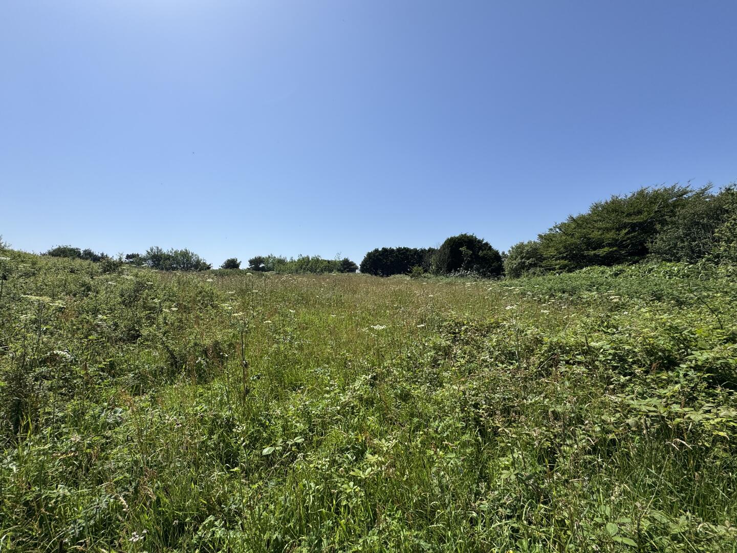 Busveal, Redruth